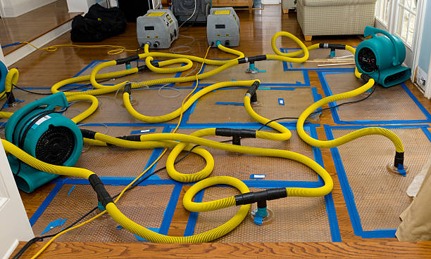 Professional Water Damage Repair technician working in Mead, WA